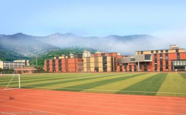 学校安全处工作计划最新6篇