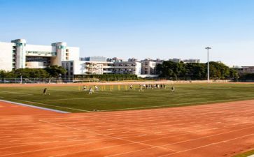 学校年度工作报告8篇