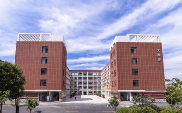 学校个人会计工作总结5篇