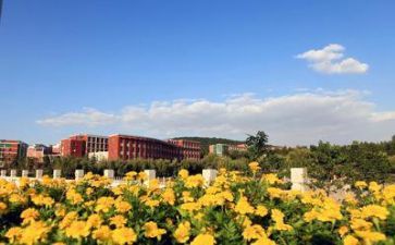 学校财务年终总结优质8篇