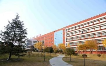 学校财务科工作计划5篇