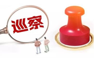 巡察组长巡察工作总结6篇