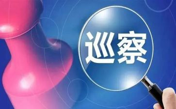 巡察干部2024年述职报告6篇