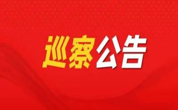 巡察干部2024述职报告8篇