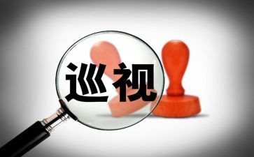 巡查工作总结5篇