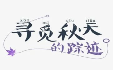 寻觅读后感6篇