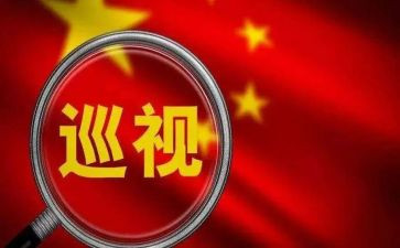 巡视工作心得体会8篇