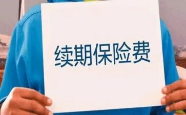 续期工作总结5篇