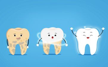中班《牙齿》教案最新8篇
