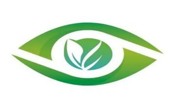 2024爱眼日活动总结最新7篇