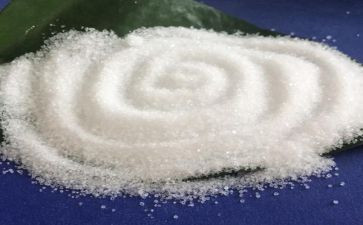 盐的读后感优质8篇