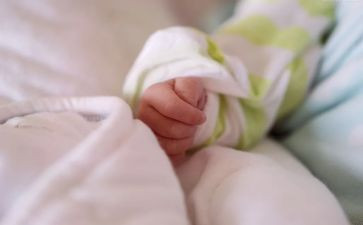 豆宝宝托班教案8篇