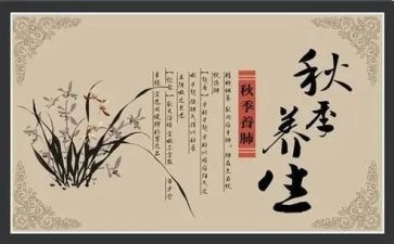 养生大促销活动方案6篇
