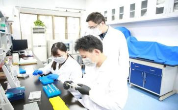 研究报告作文模板6篇
