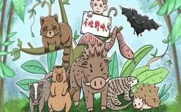 关于野味的演讲稿8篇