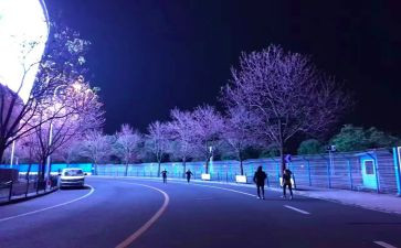 暗夜行读后感6篇