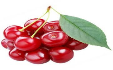 樱桃小庄读后感7篇