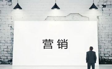 营销师工作总结精选6篇
