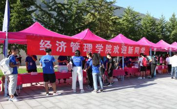 迎新年联欢会活动方案模板8篇