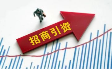 招商引资个人总结8篇