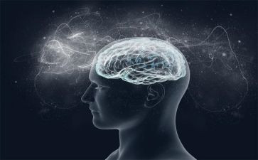 增强四个意识做到两个维护演讲稿7篇