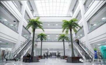 2024年医院出纳工作总结8篇