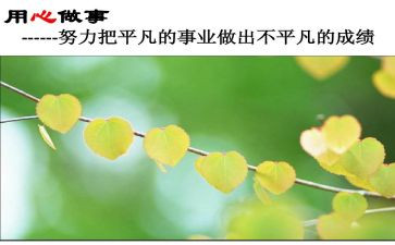 小学信息技术应用心得体会通用5篇