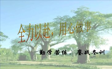 小学信息技术应用心得体会7篇