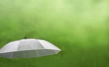小英雄雨来的读后感读后感优质7篇