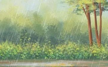 (雷雨读后感推荐6篇