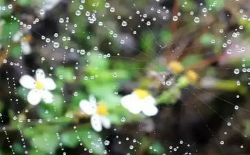 小英雄雨来的读后感读后感通用5篇