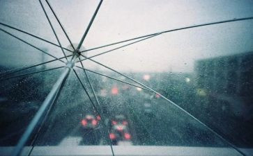 观雨读后感500字通用6篇