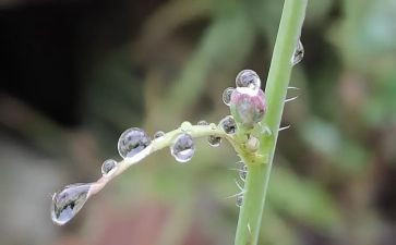秋天的雨读后感最新6篇