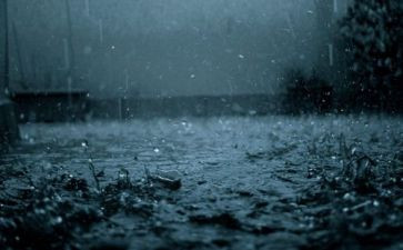 观雨四年级读后感7篇