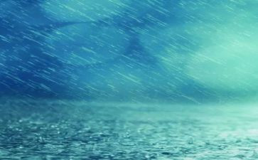秋天的雨读后感精选6篇