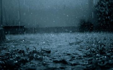 听春雨作文600字8篇