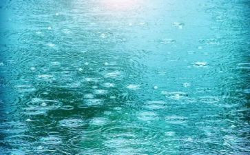 雷雨读后感800字优秀7篇