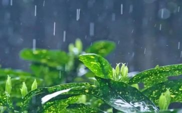 小英雄雨来读后感300优质7篇