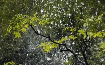 秋天的雨作文500字精选8篇