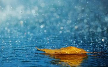 雨点儿的教学反思6篇