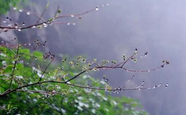 (雷雨读后感最新6篇