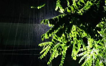 观雨读后感500字推荐6篇