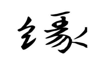 缘的读后感优秀5篇