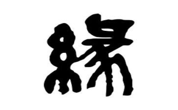 缘的读后感7篇
