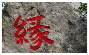 镜花缘读书心得体会7篇