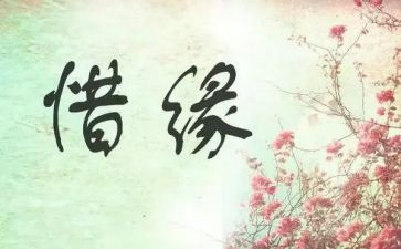 关于师生缘的演讲稿5篇