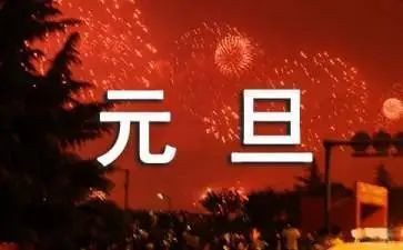 元旦的作文450字7篇