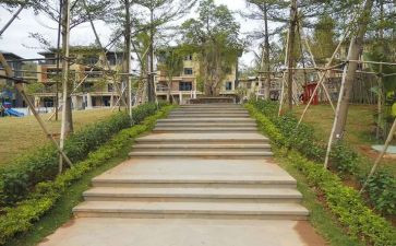 园建项目副经理述职报告5篇