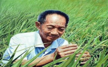 写袁隆平传读后感6篇