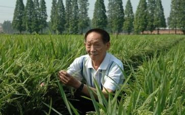 读袁隆平的读后感5篇